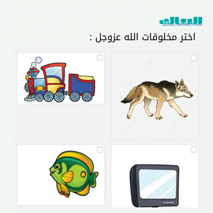 صور كتاب عربي م1- 500-300 بيكسل)